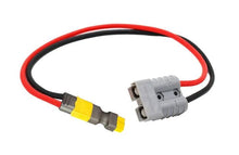 Load image into Gallery viewer, KickAss 50A 10AWG Anderson to XT60 Cable - 50CM
