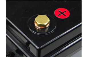 SolarKing 240AH lithium battery